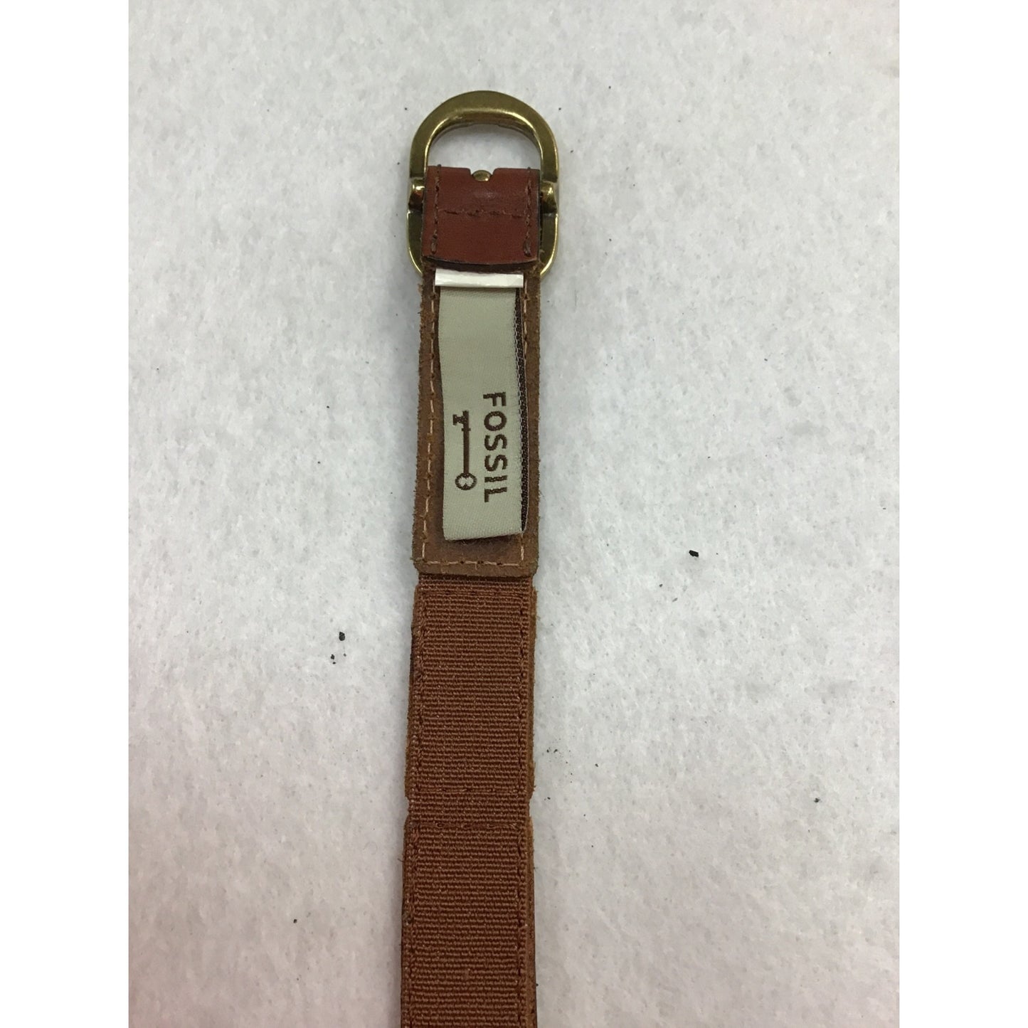 Colorful Fossil Belt