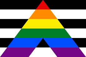 Gay Straight Alliance Flag #3