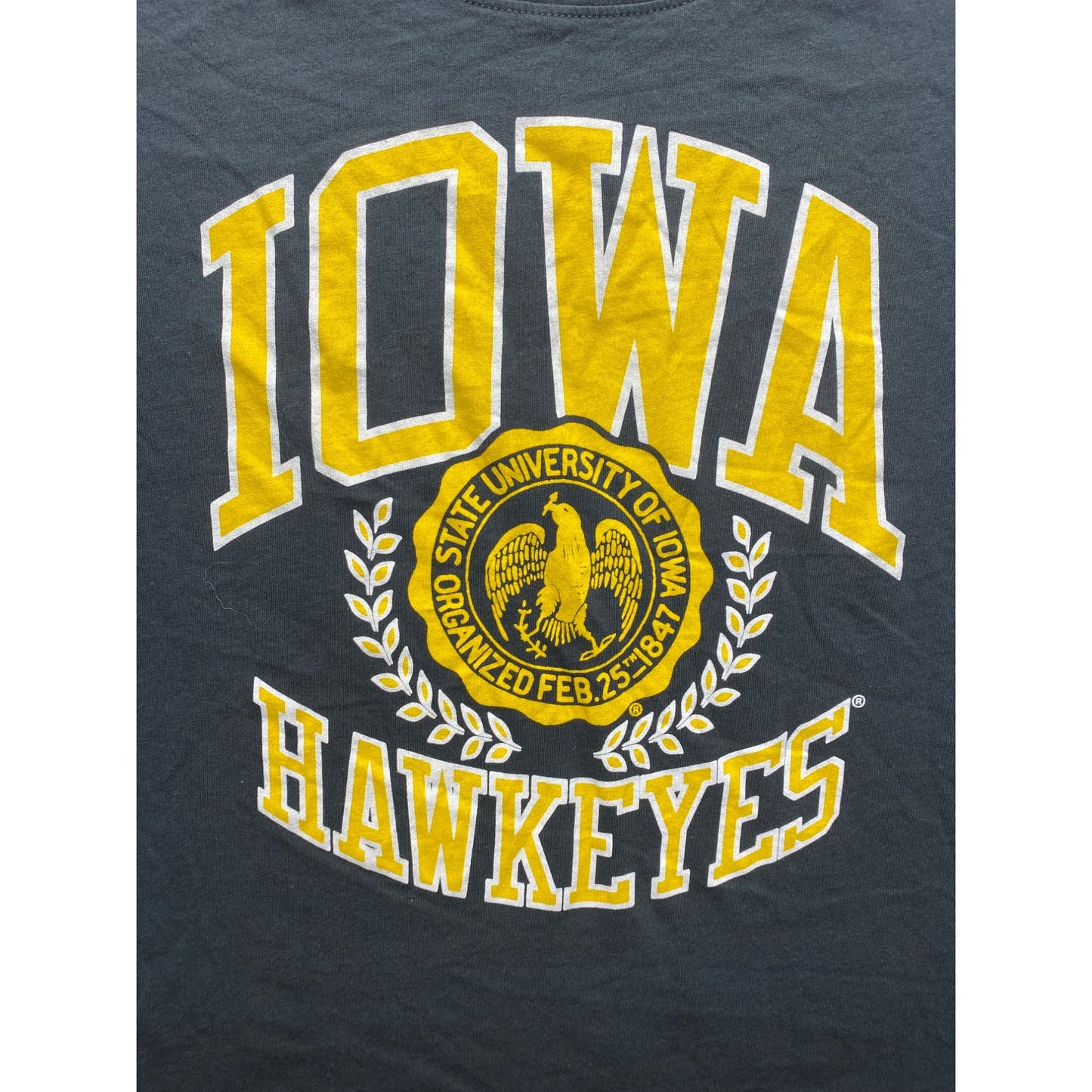Iowa Hawkeyes Gray Sleeveless Tailgate T-Shirt M 100% Cotton #7369