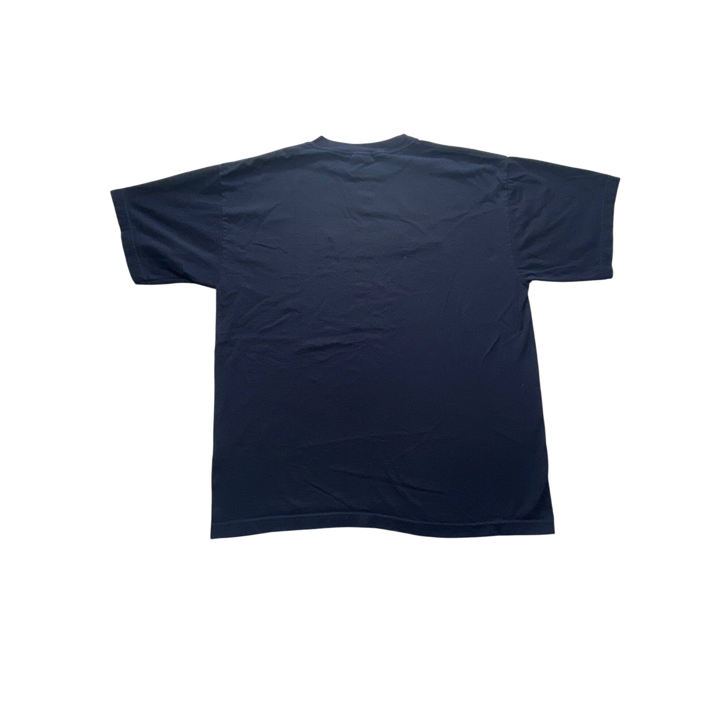 Vintage embroidered Minnesota Tee #5202
