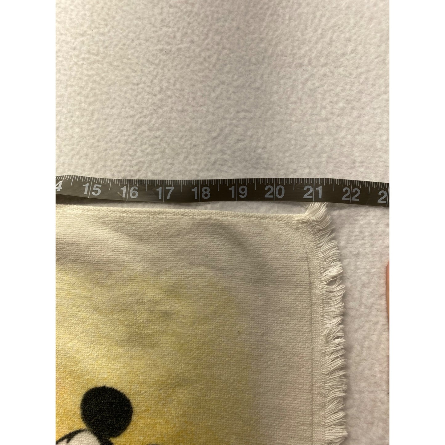 Disney Dishtowel #3943