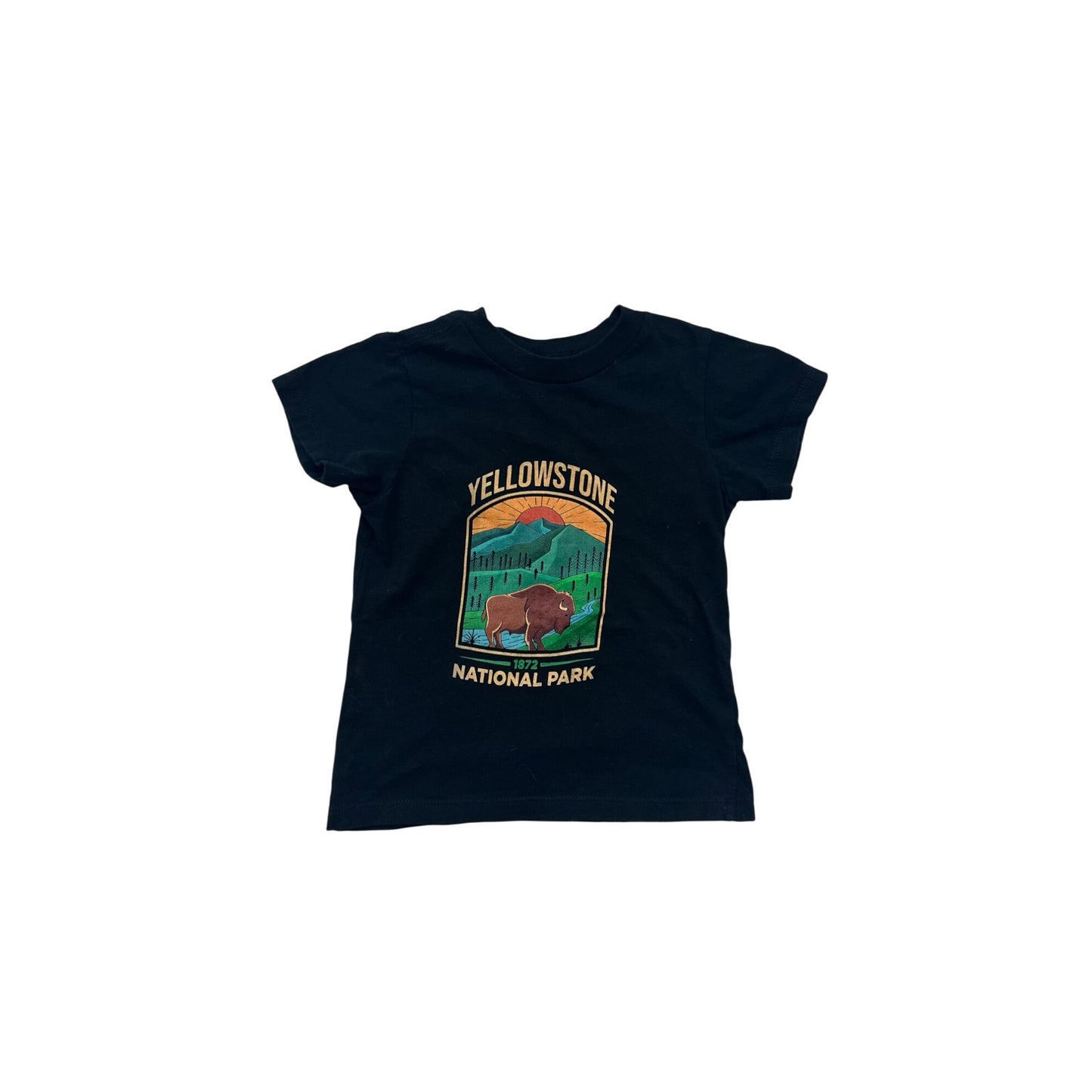 Yellowstone National Park Kids 2T Black Short Sleeve Graphic Tee #8005