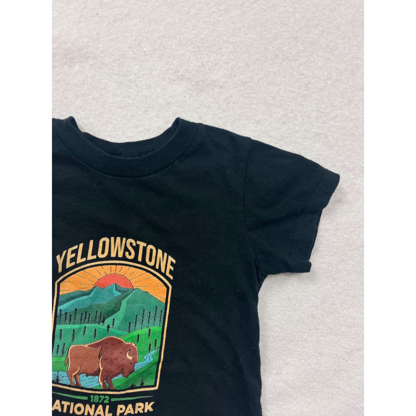 Yellowstone National Park Kids 2T Black Short Sleeve Graphic Tee #8005