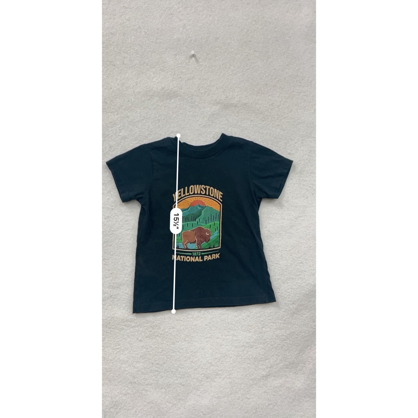 Yellowstone National Park Kids 2T Black Short Sleeve Graphic Tee #8005