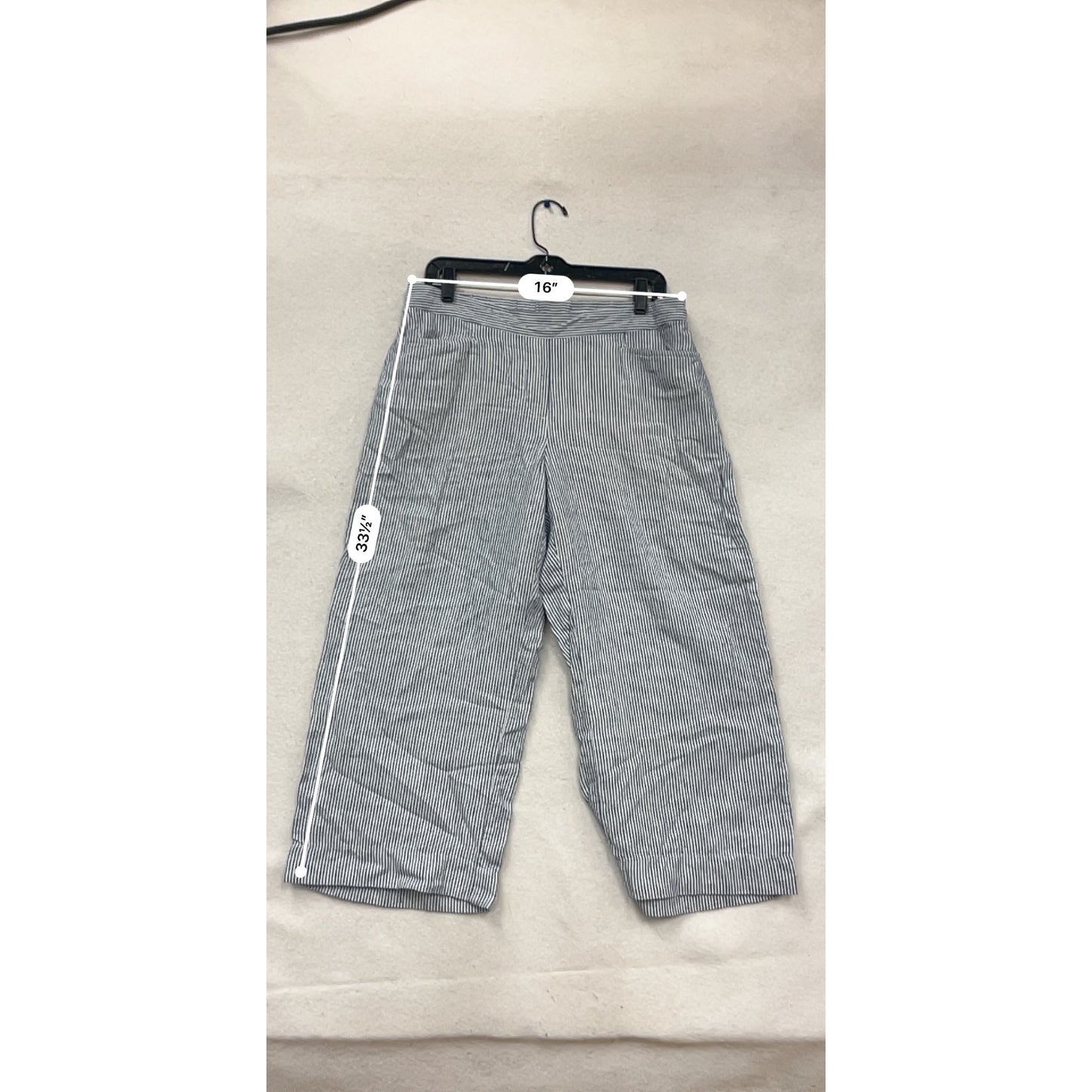 J.Jill Blue & White Striped Linen Pants Petite #876A