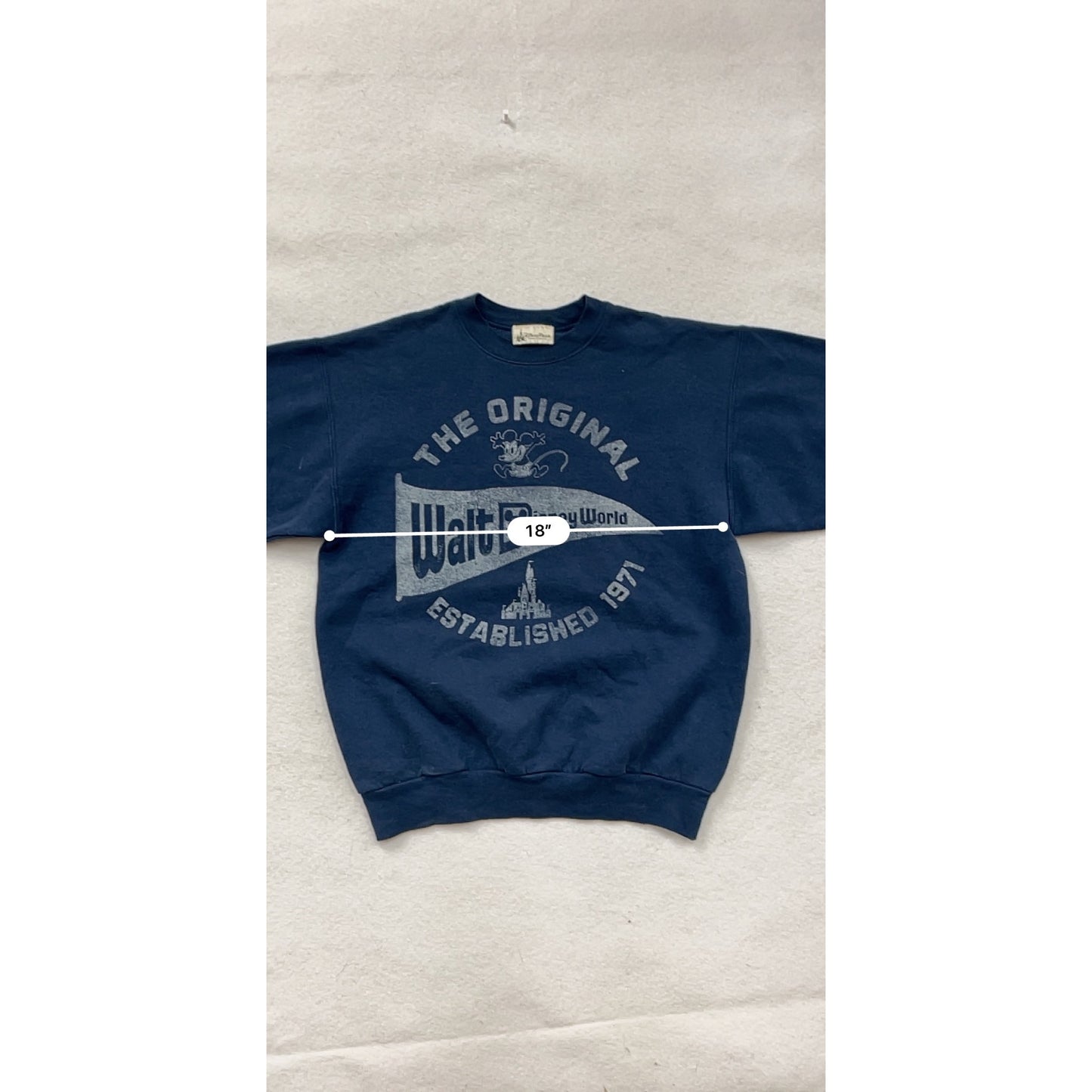 Vintage Disney Parks small Hanes ComfortBlend Sweatshirt #8287