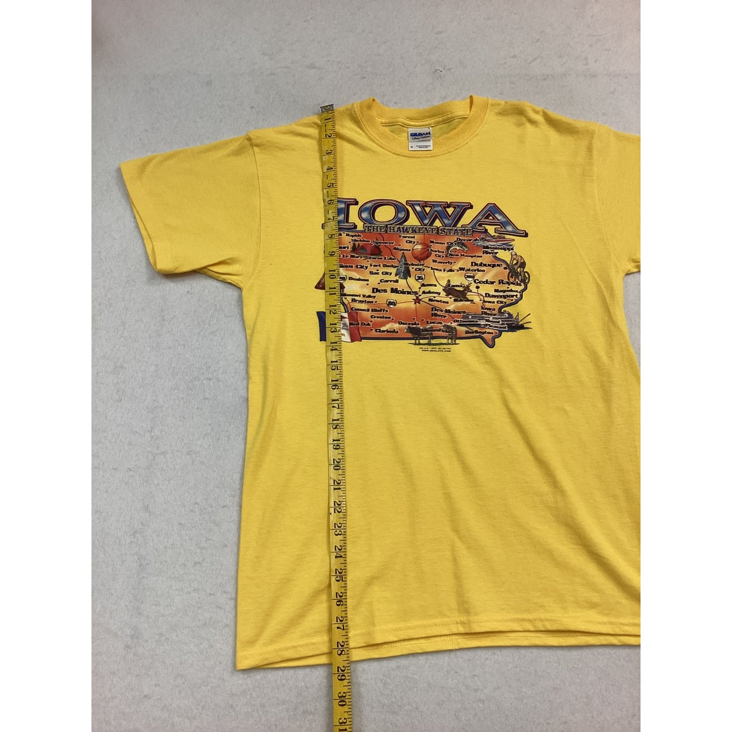 Men’s Iowa graphic T-shirt