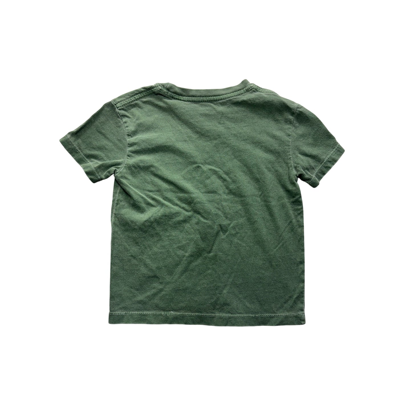 Kids Green Itasca State Park Moose T-Shirt #7451