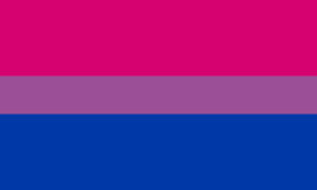 Bisexual Flag #7