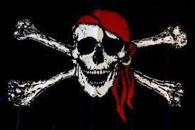 Pirate Flag #31