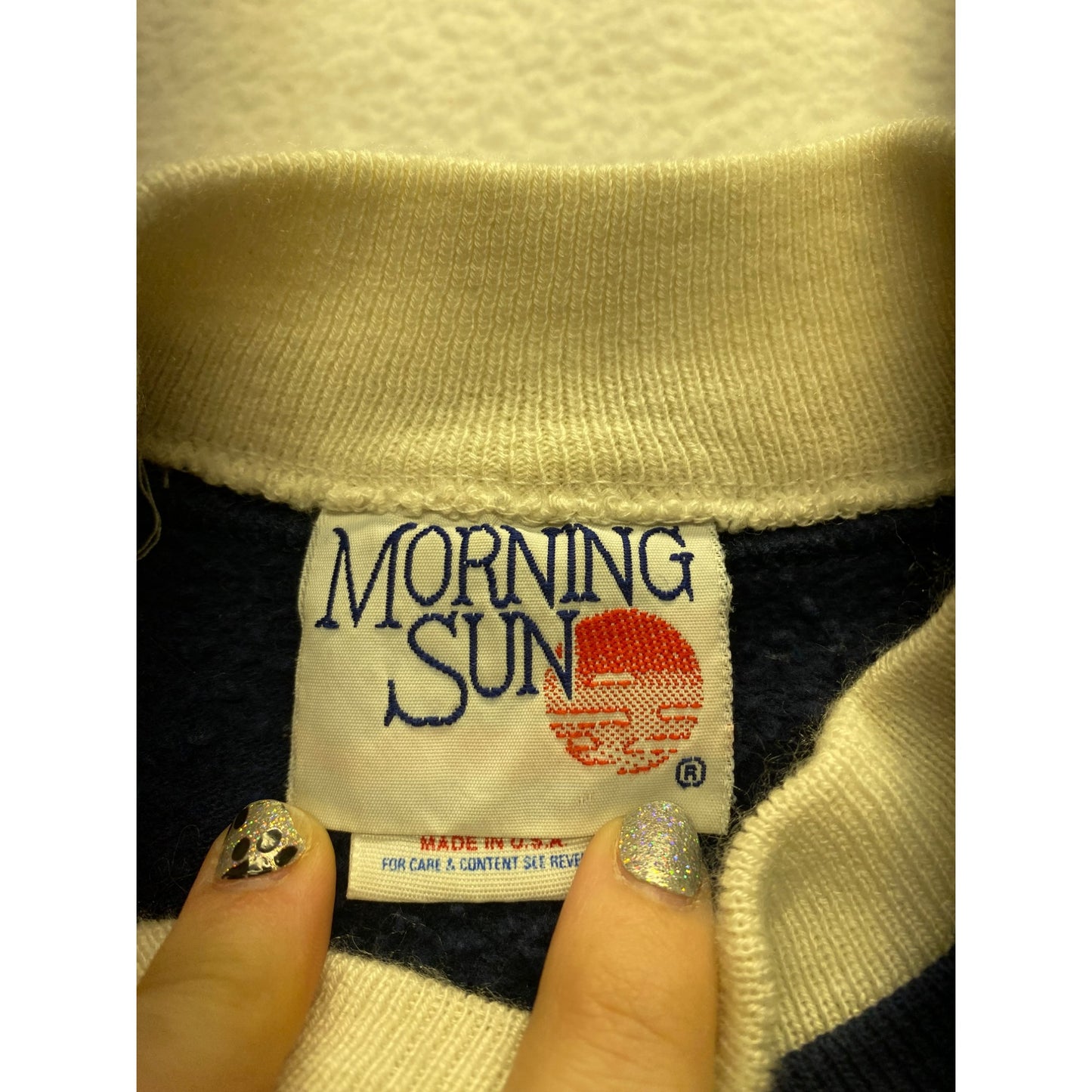 Vintage Morning Sun Cat & Birdhouse Sweatshirt #7167