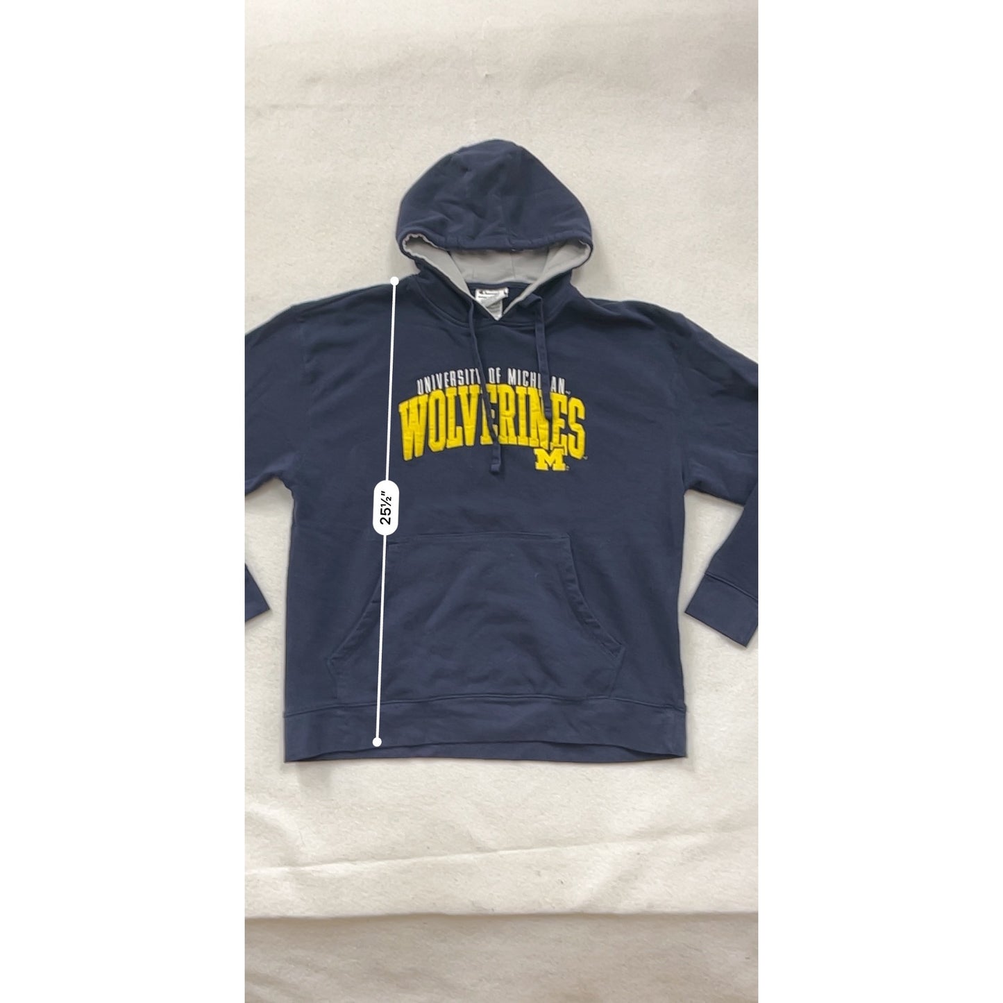 Vintage Unisex University of Michigan Champion Hoodie #6850