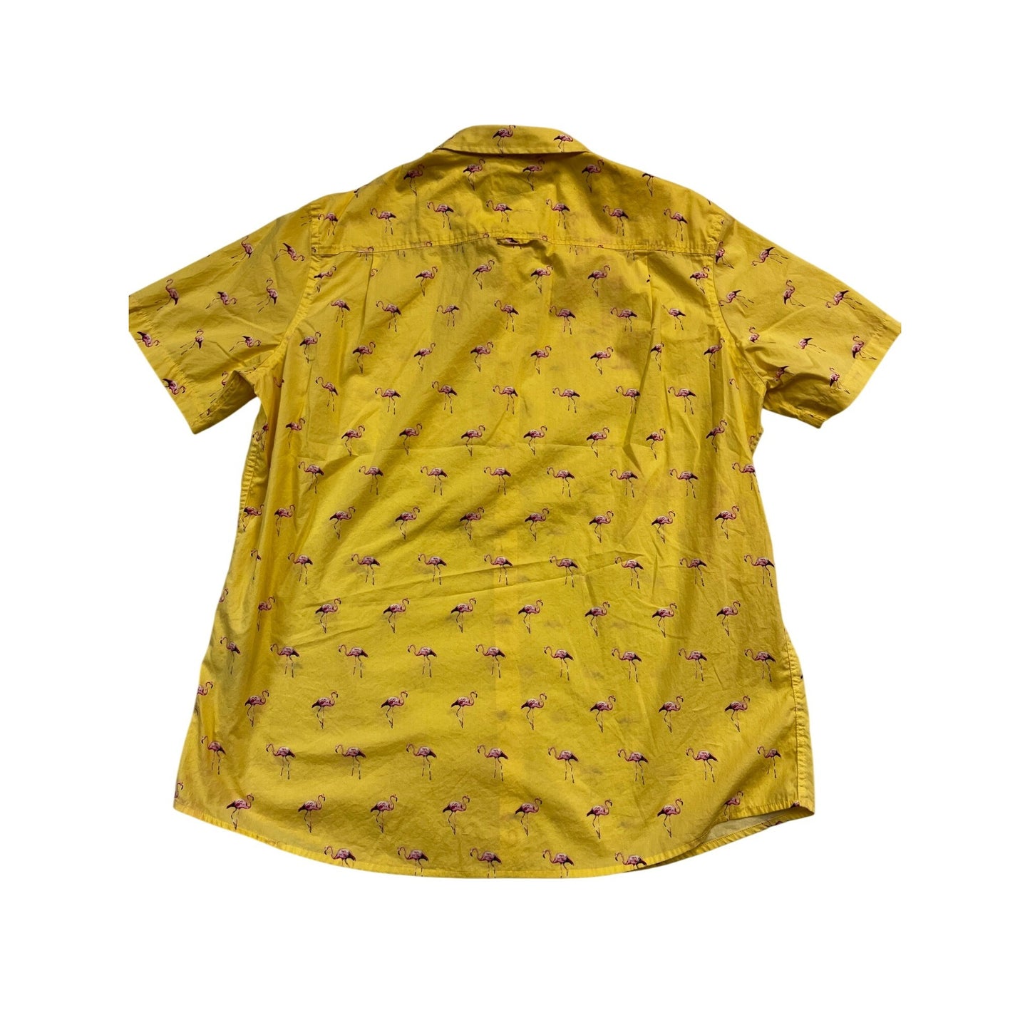 Men's Flamingo Rain Regular-Fit Printed Button-Down #2681