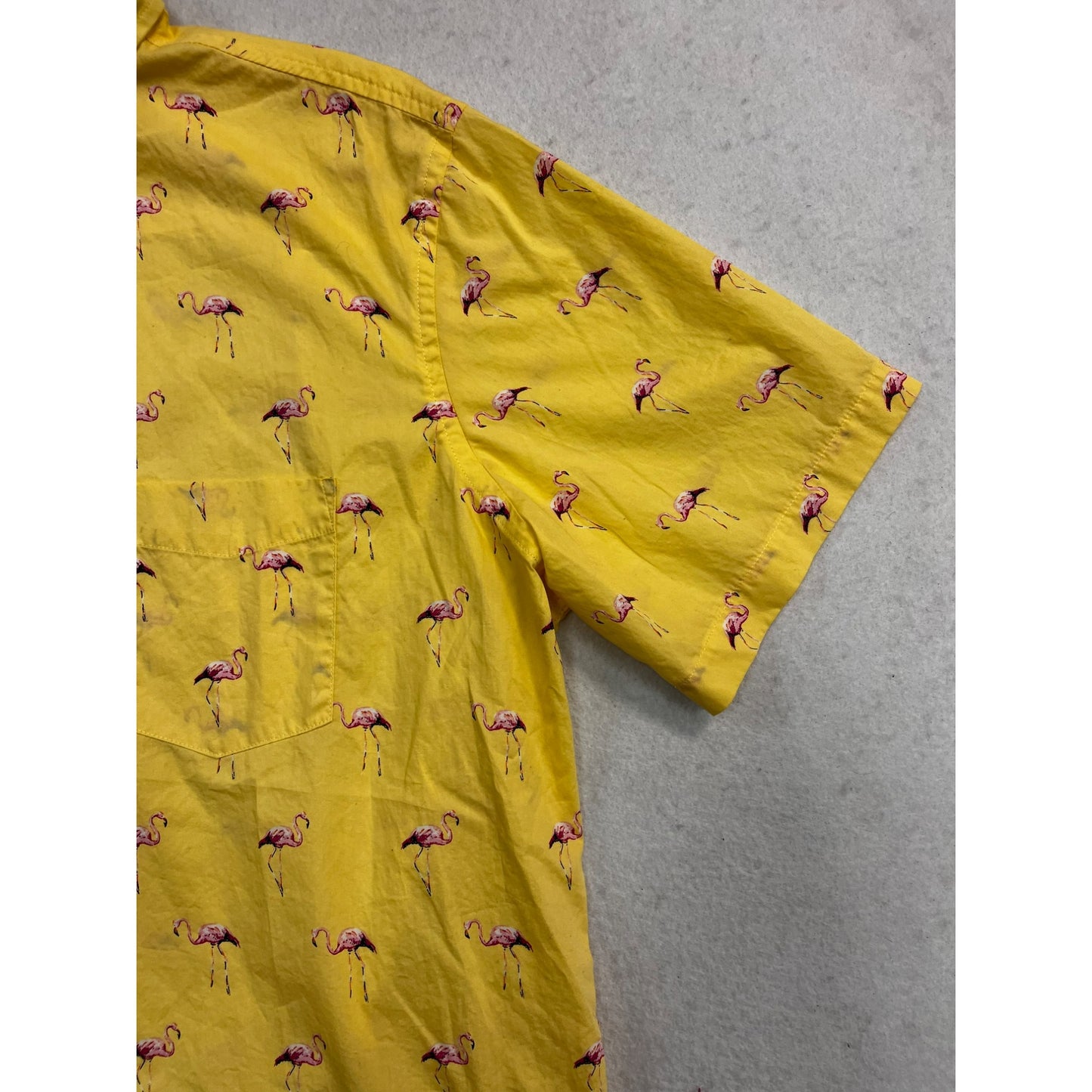 Men's Flamingo Rain Regular-Fit Printed Button-Down #2681