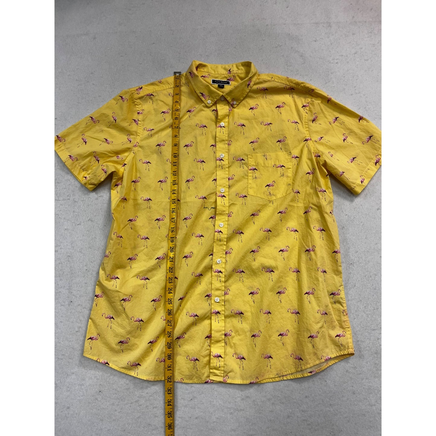 Men's Flamingo Rain Regular-Fit Printed Button-Down #2681