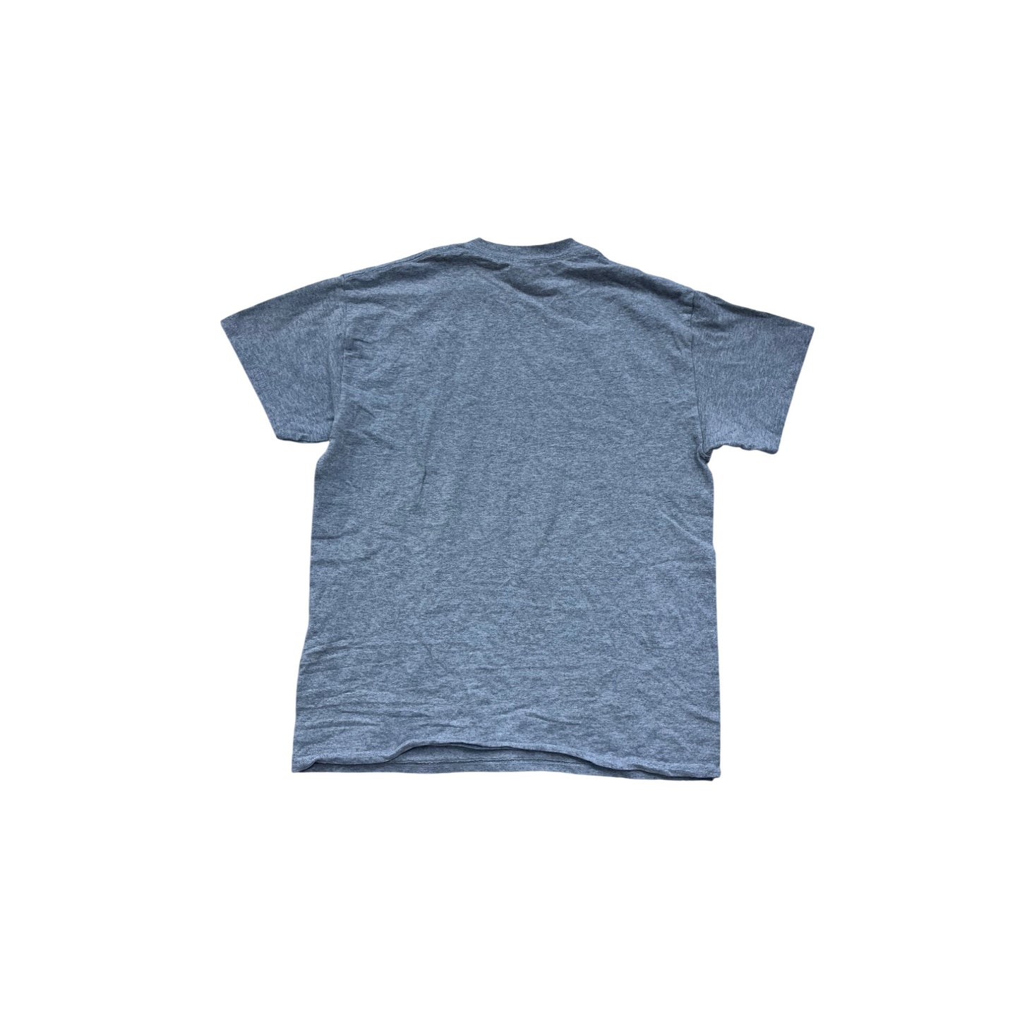 Wisconsin Surfing Gray T-Shirt M By Gildan #8370