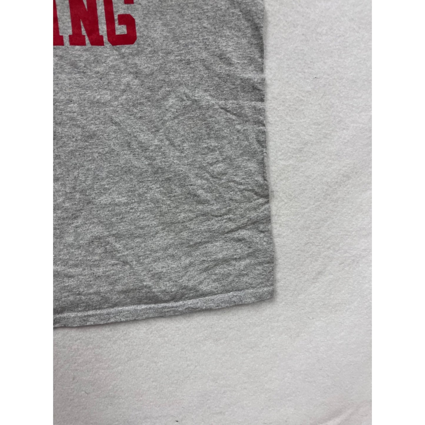 Wisconsin Surfing Gray T-Shirt M By Gildan #8370
