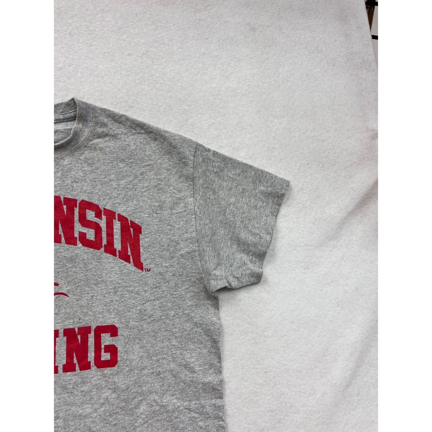 Wisconsin Surfing Gray T-Shirt M By Gildan #8370