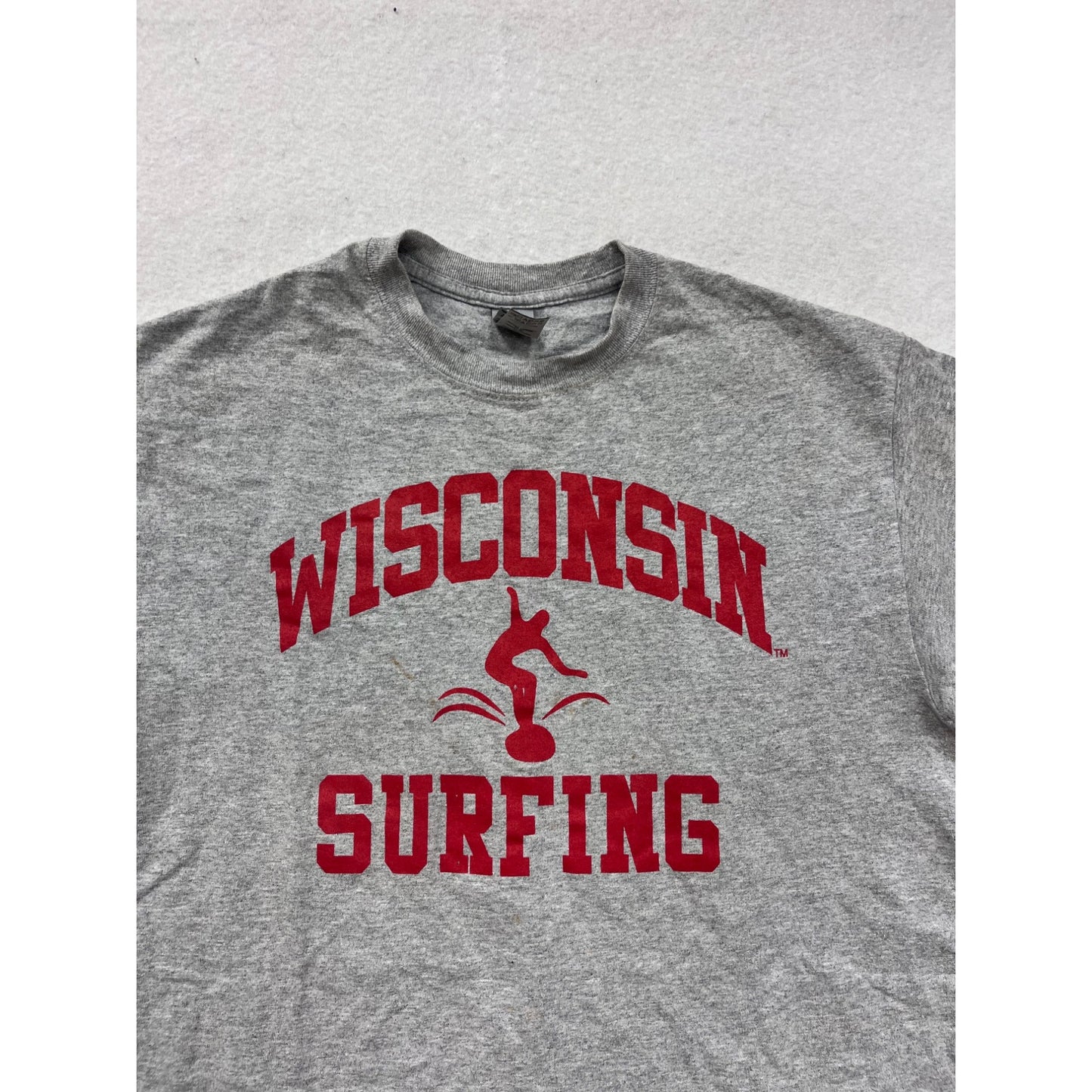 Wisconsin Surfing Gray T-Shirt M By Gildan #8370