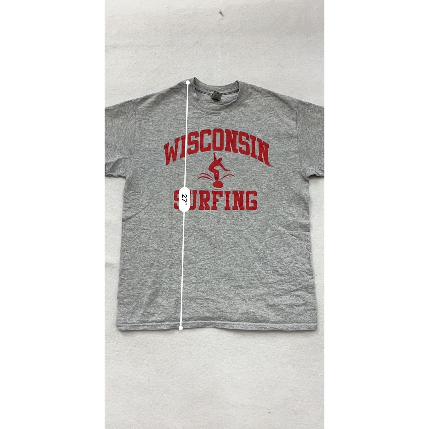 Wisconsin Surfing Gray T-Shirt M By Gildan #8370