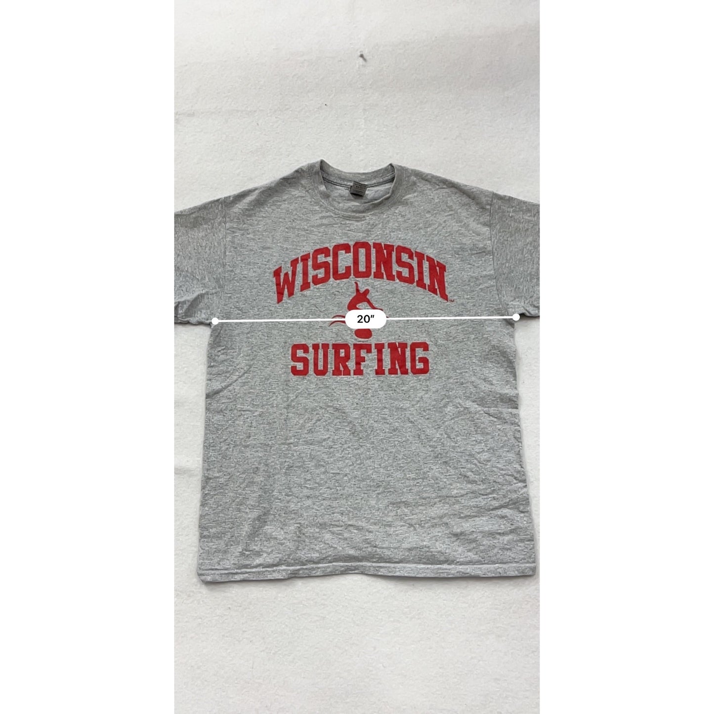 Wisconsin Surfing Gray T-Shirt M By Gildan #8370