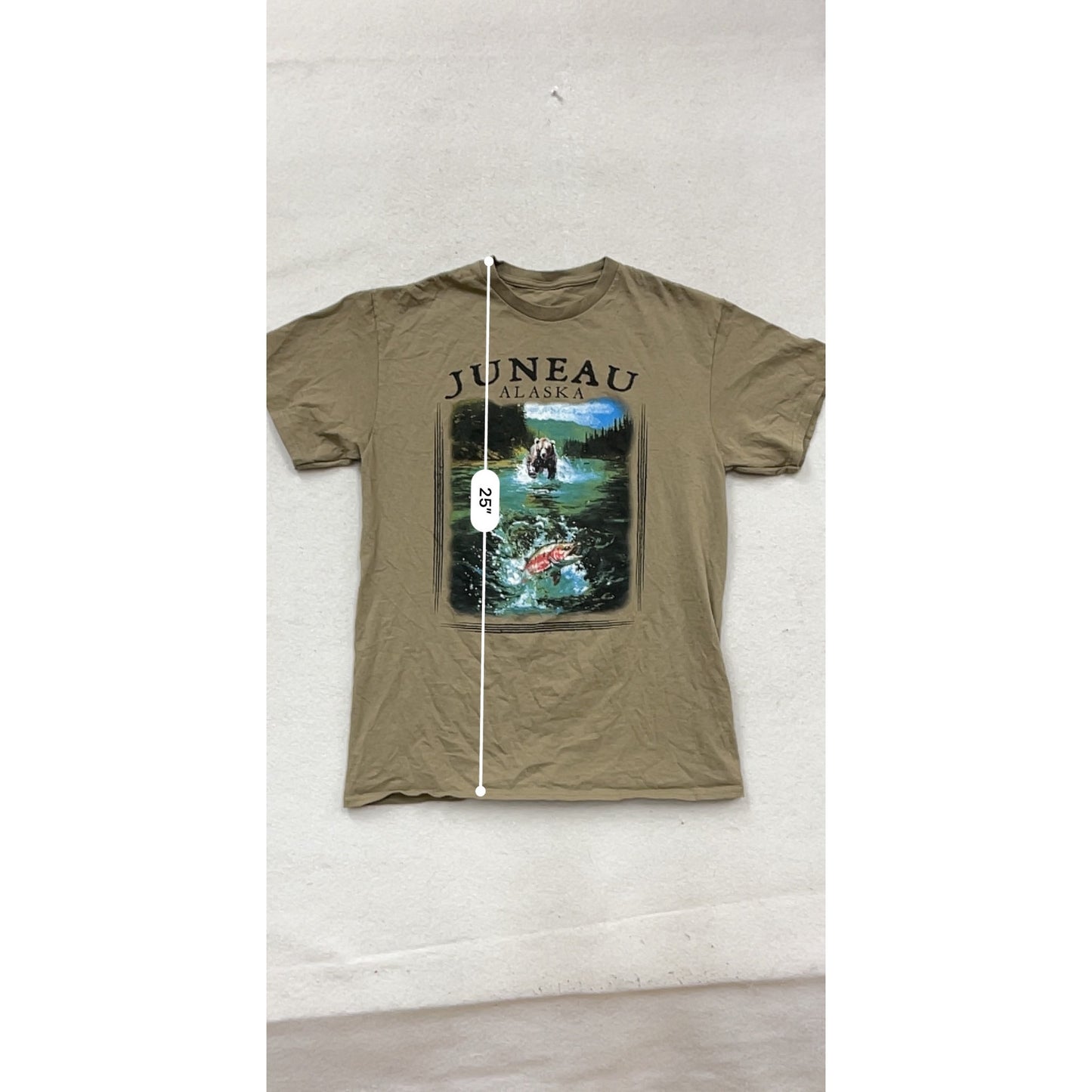 Juneau Alaska Graphic T-Shirt Brown Size L #243A