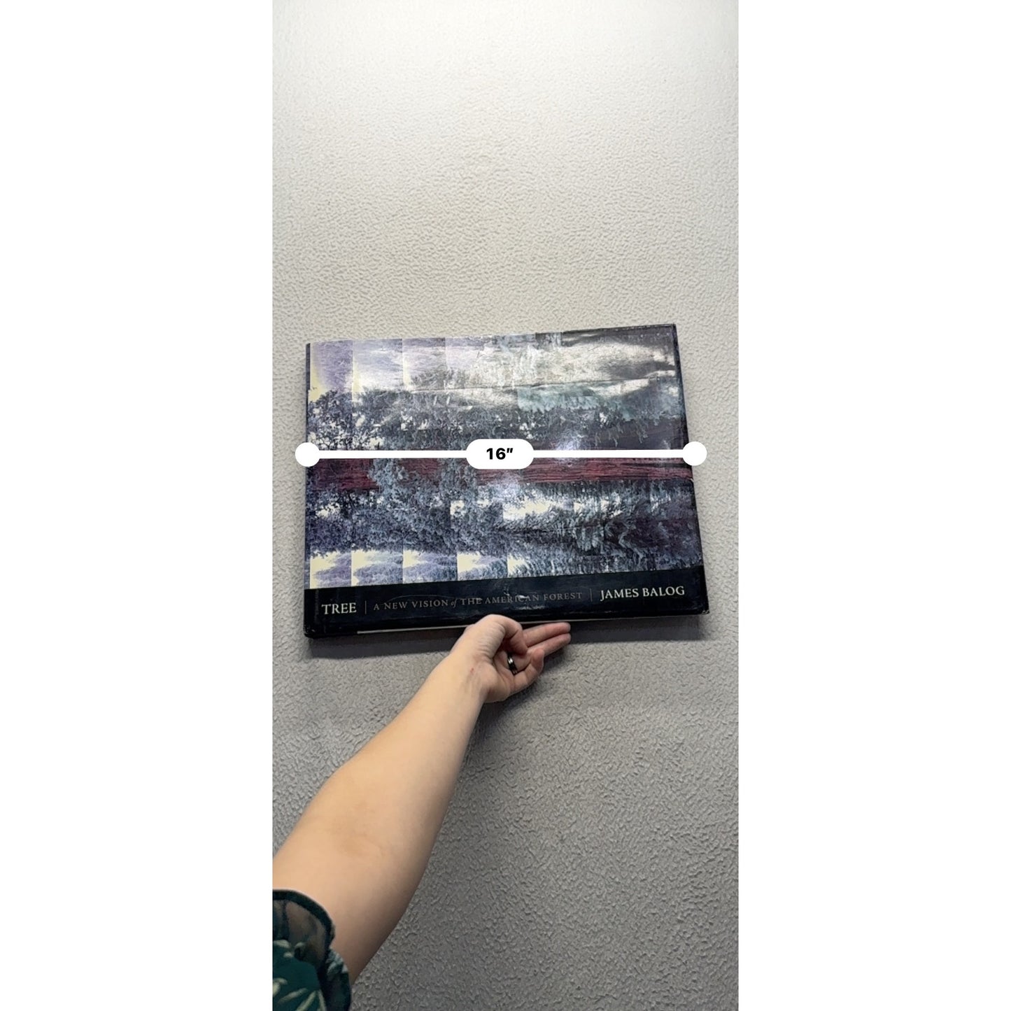 Tree: A New Vision Of The American Forest By James Balog #439B