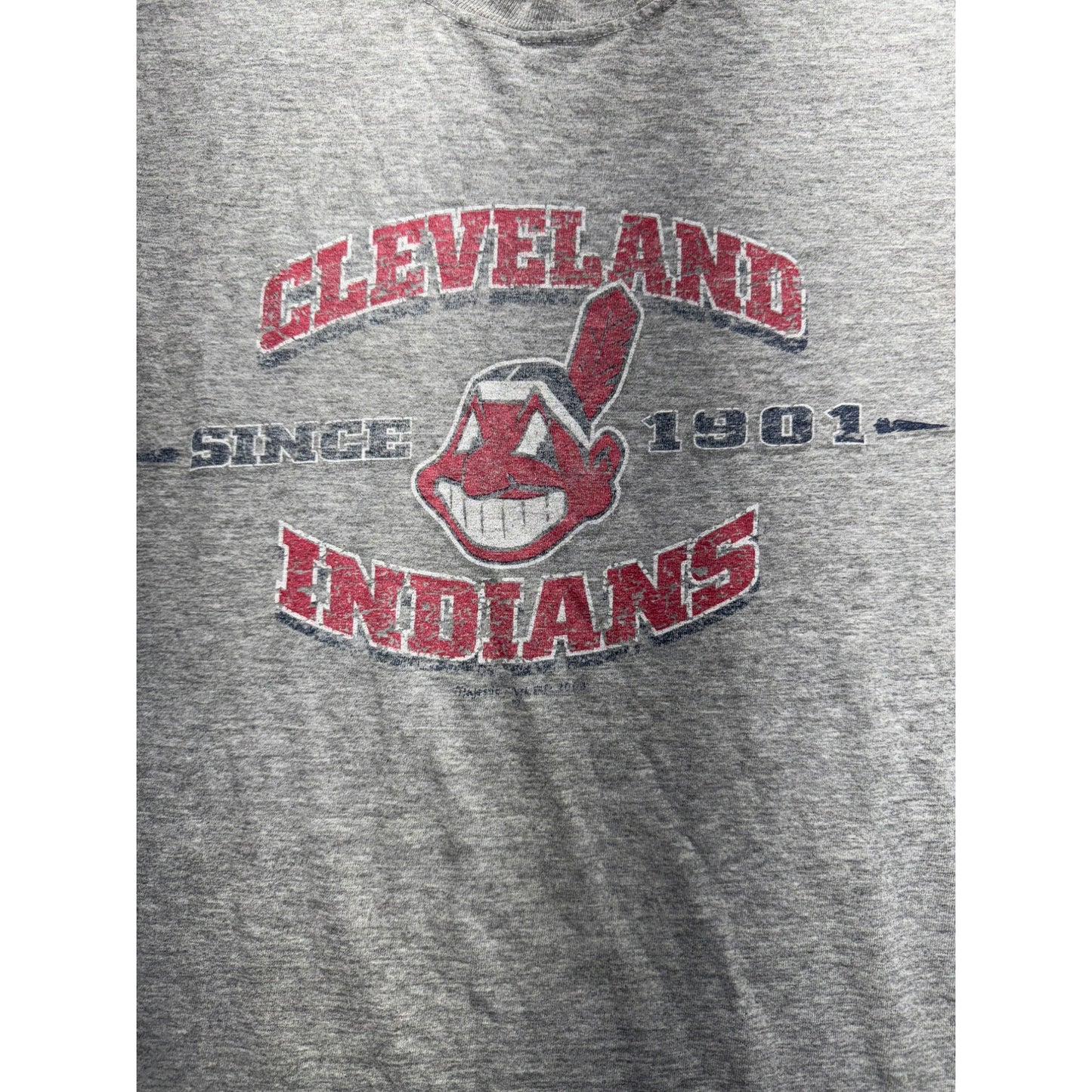Women’s Vintage Cleveland Indians Tee #5587