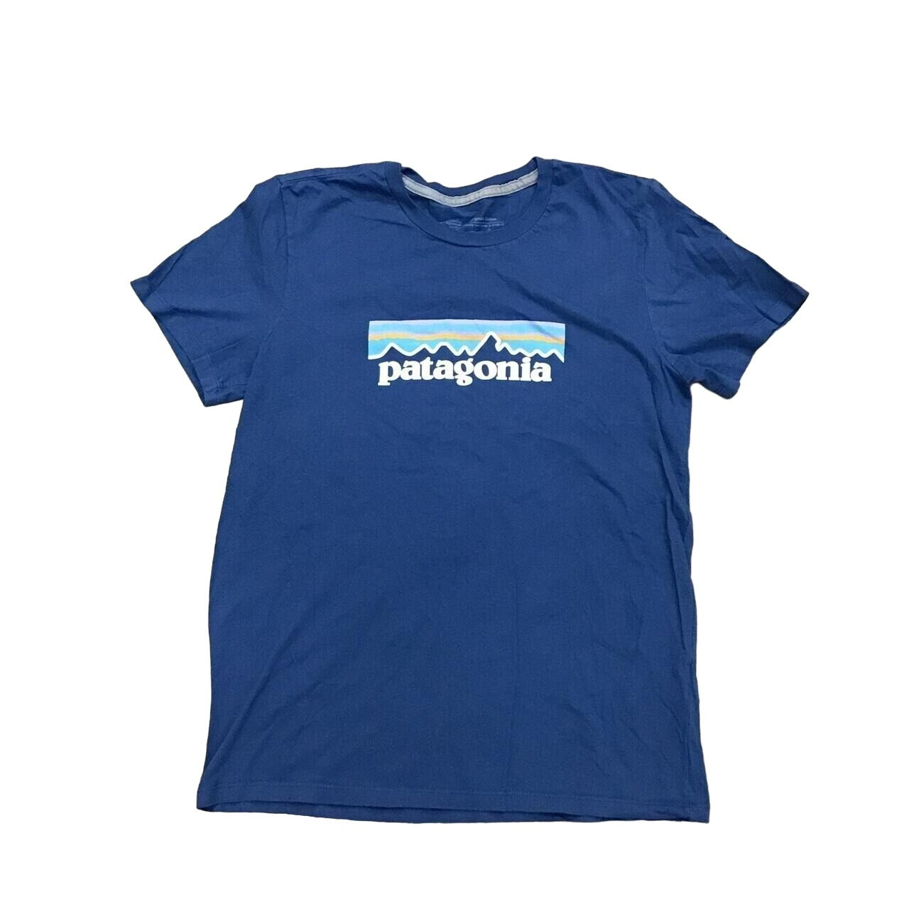 Patagonia Graphic Tee - 945