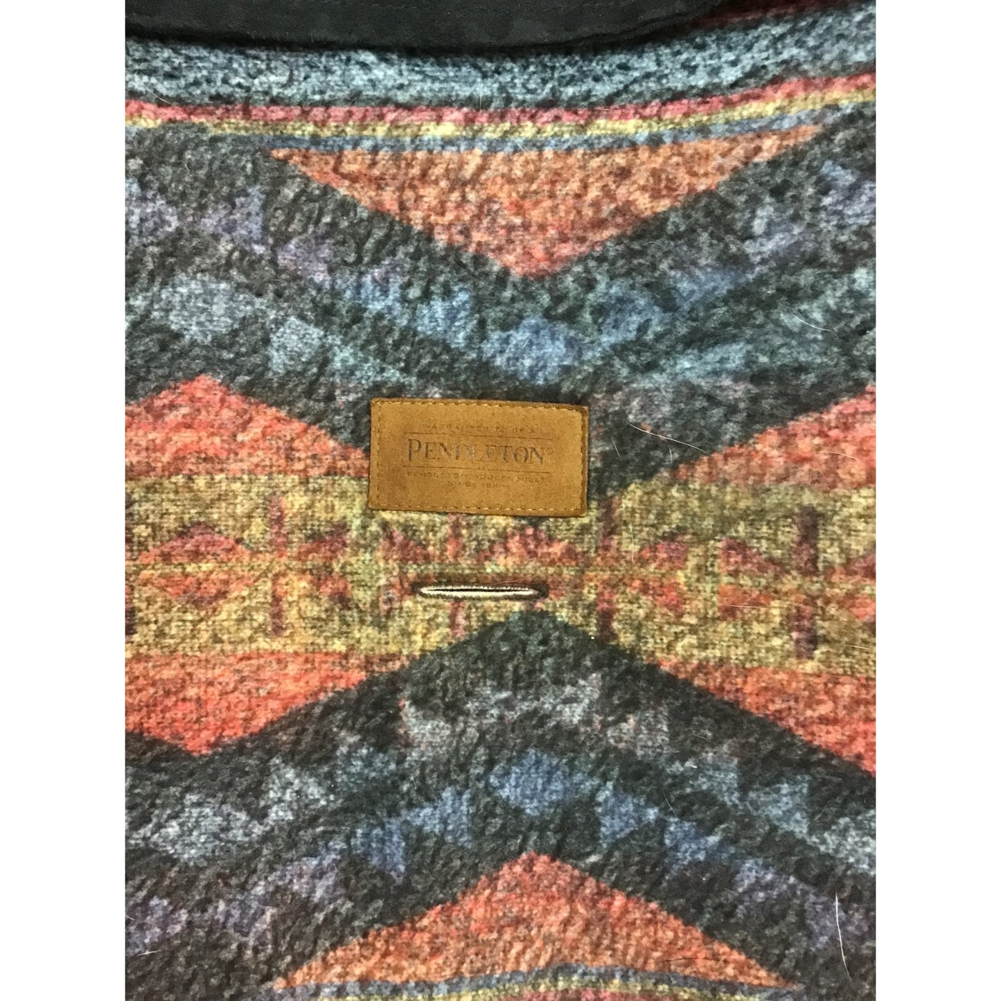 Unique Dog Vest