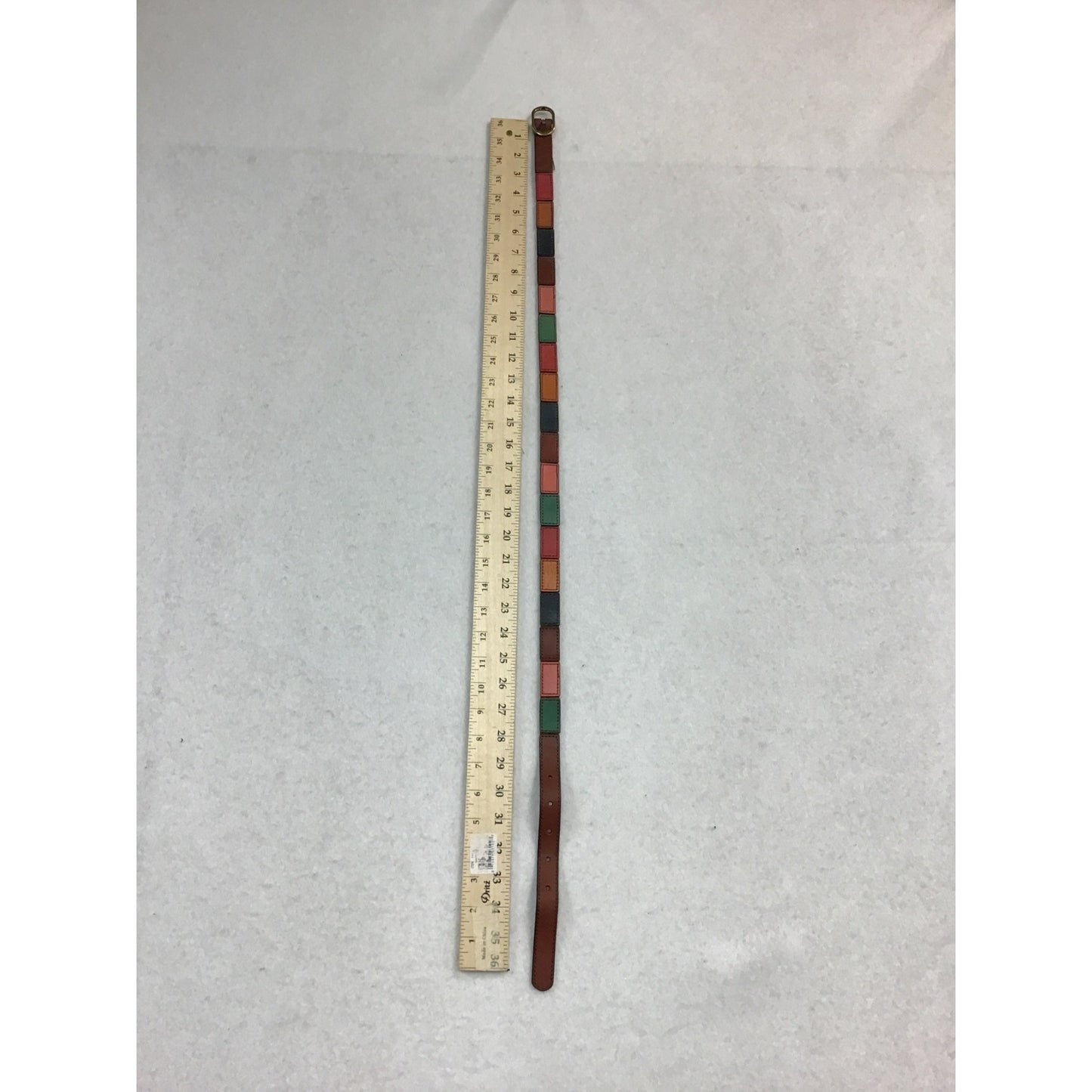 Colorful Fossil Belt