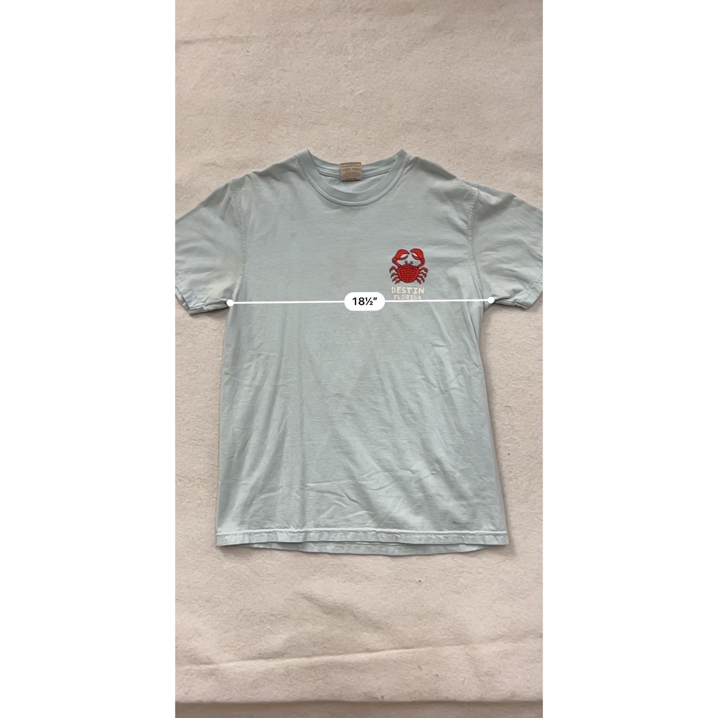 Comfort Colors Mens Medium Blue "Gettin Crabby" Destin Florida T-Shirt #8114