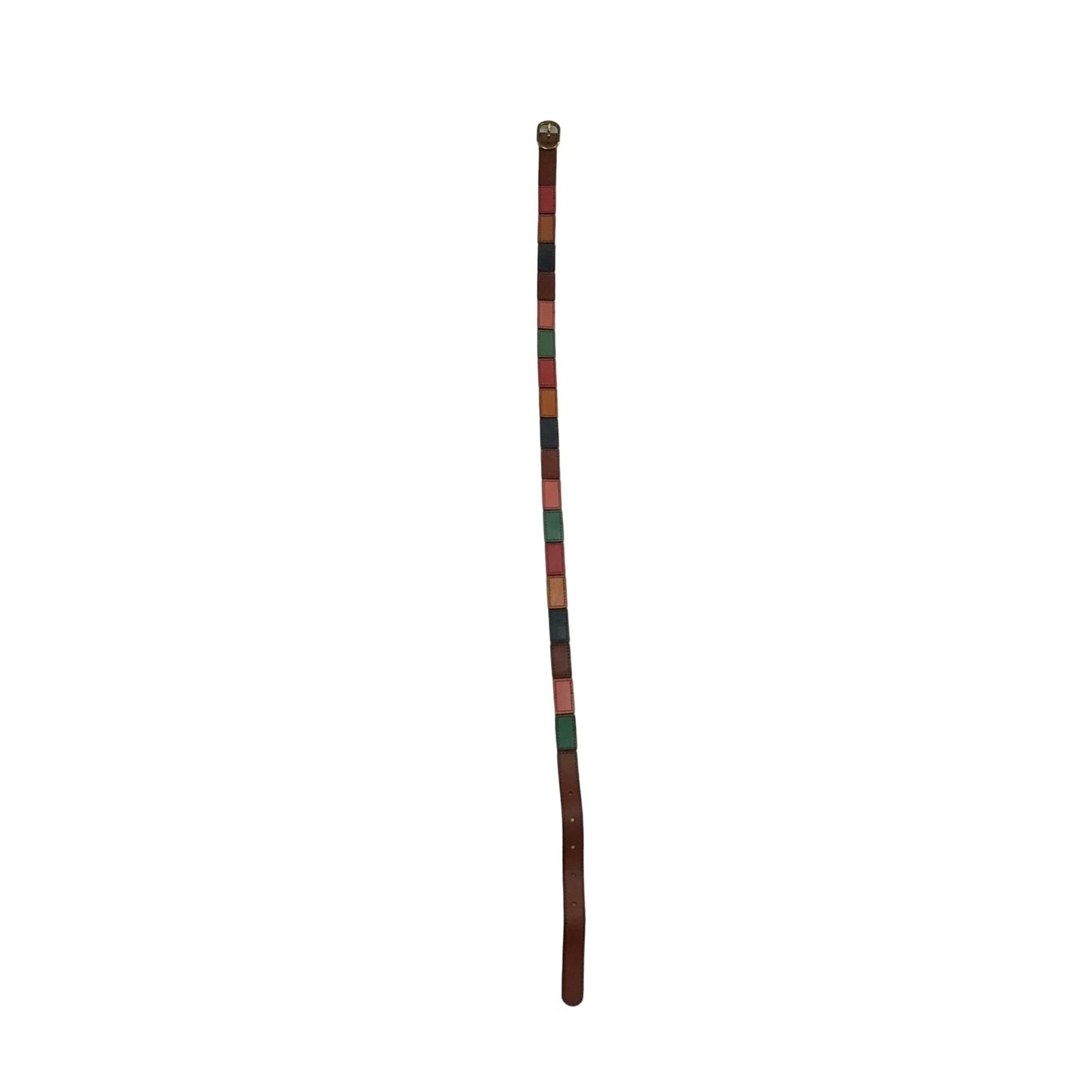 Colorful Fossil Belt
