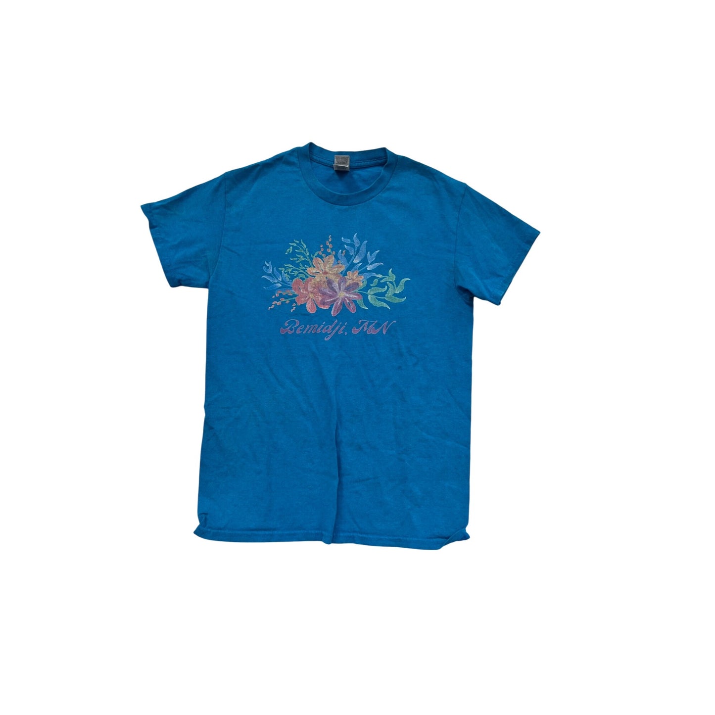 Bemidji MN Blue Graphic T-Shirt S Gildan #804A