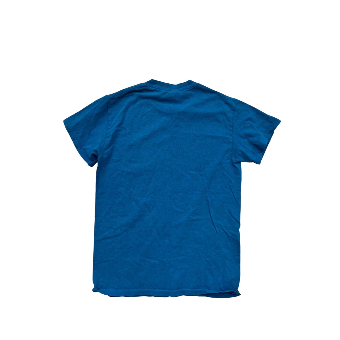 Bemidji MN Blue Graphic T-Shirt S Gildan #804A