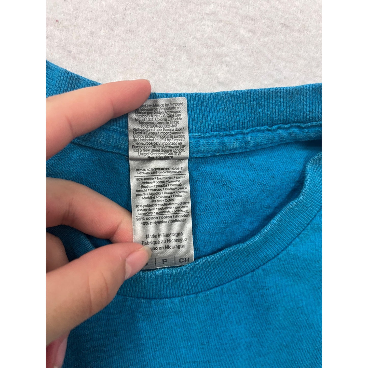 Bemidji MN Blue Graphic T-Shirt S Gildan #804A
