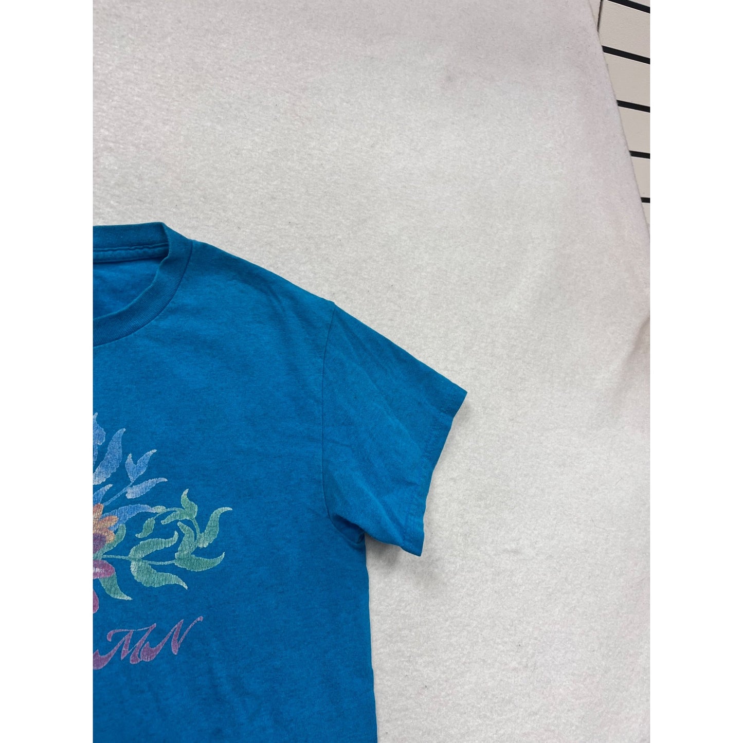 Bemidji MN Blue Graphic T-Shirt S Gildan #804A