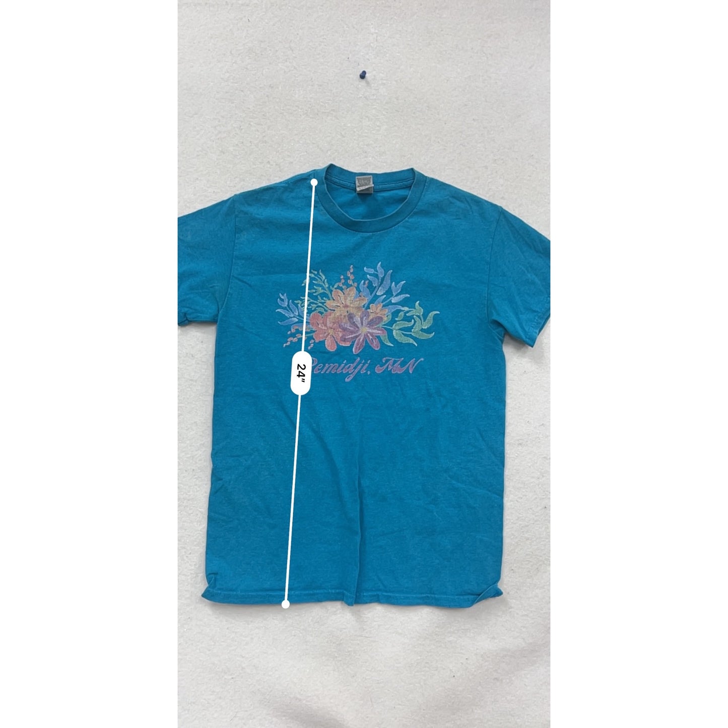 Bemidji MN Blue Graphic T-Shirt S Gildan #804A