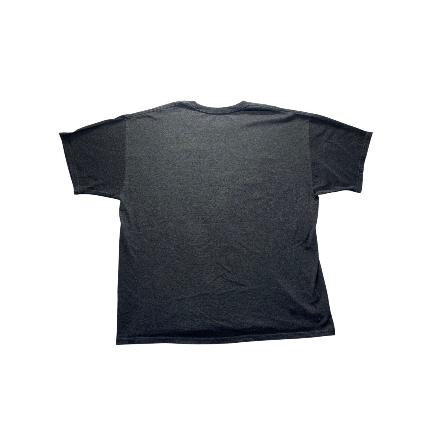 Champion Rockford University Gray T-Shirt #7275