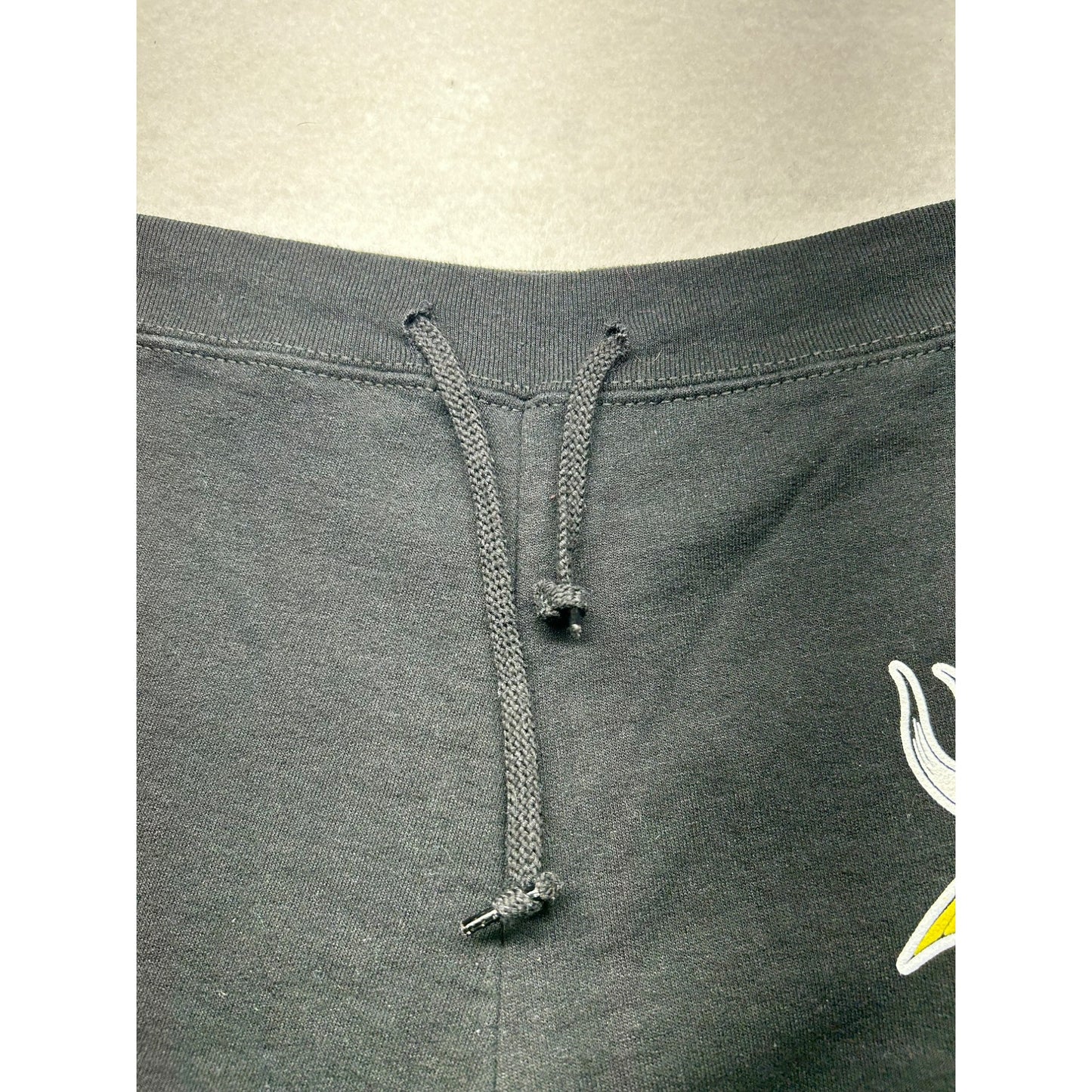Women’s Minnesota Vikings Wide Leg Sweatpants #2898