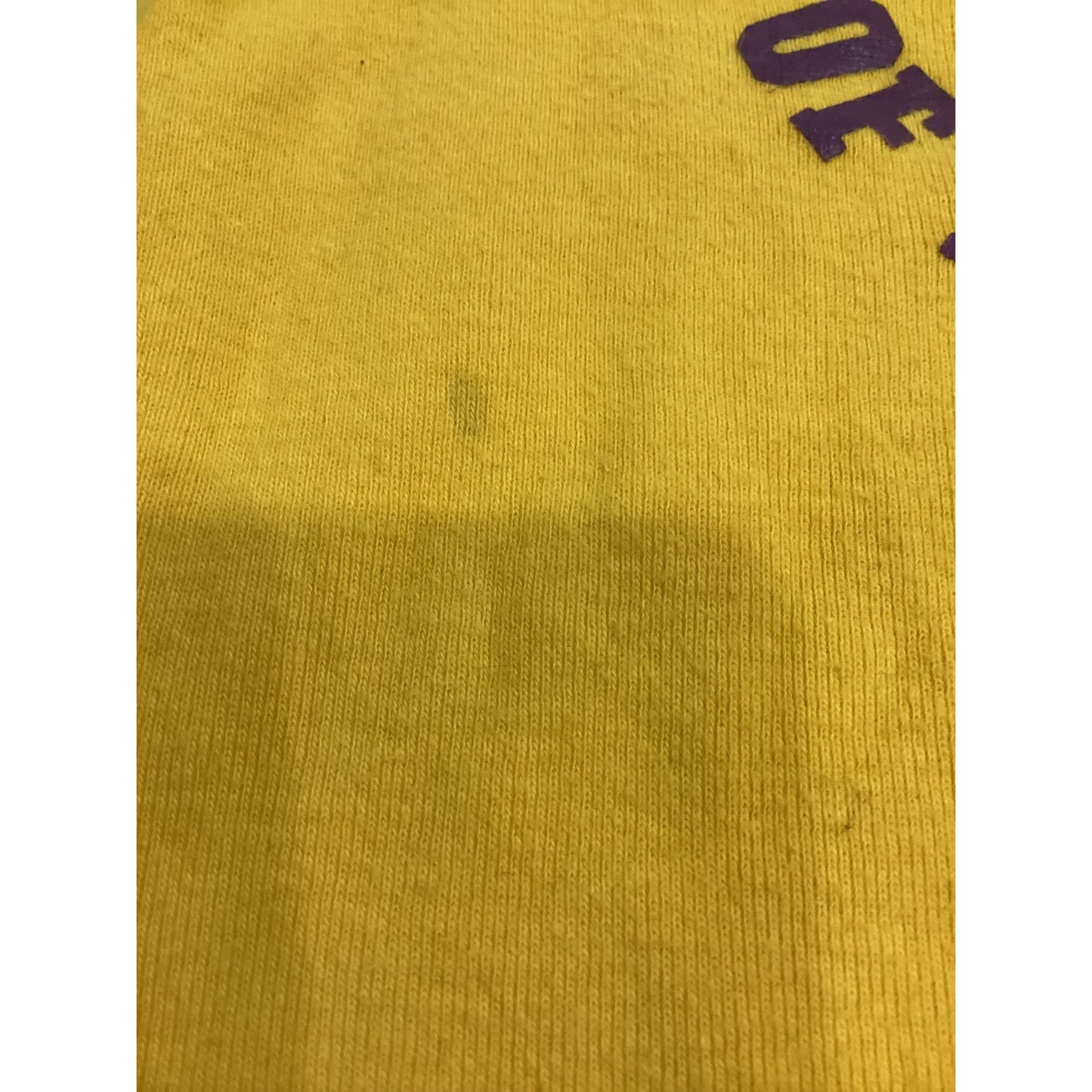 University of Minnesota Infant Bodysuit