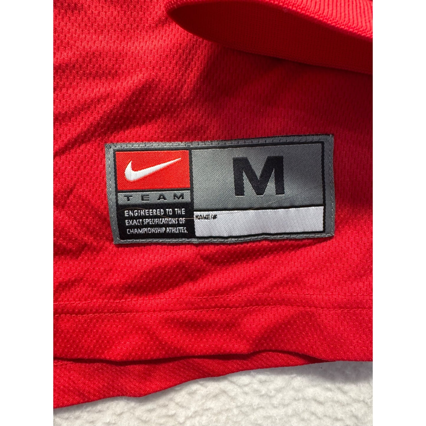 Men’s Nike Team Hockey Shirt #5591