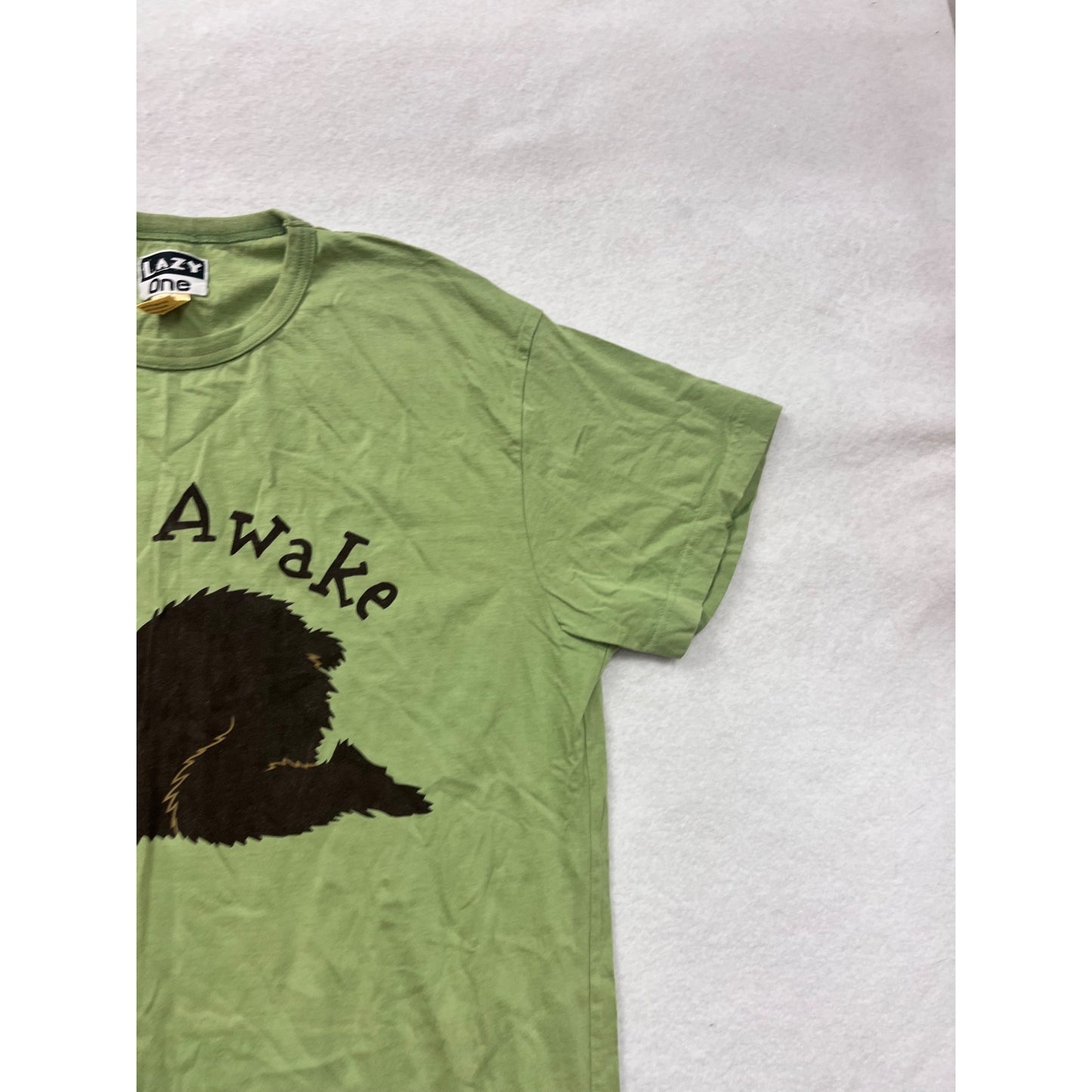 Lazy One Womens Green "Bearly Awake" Graphic Nightgown #8166