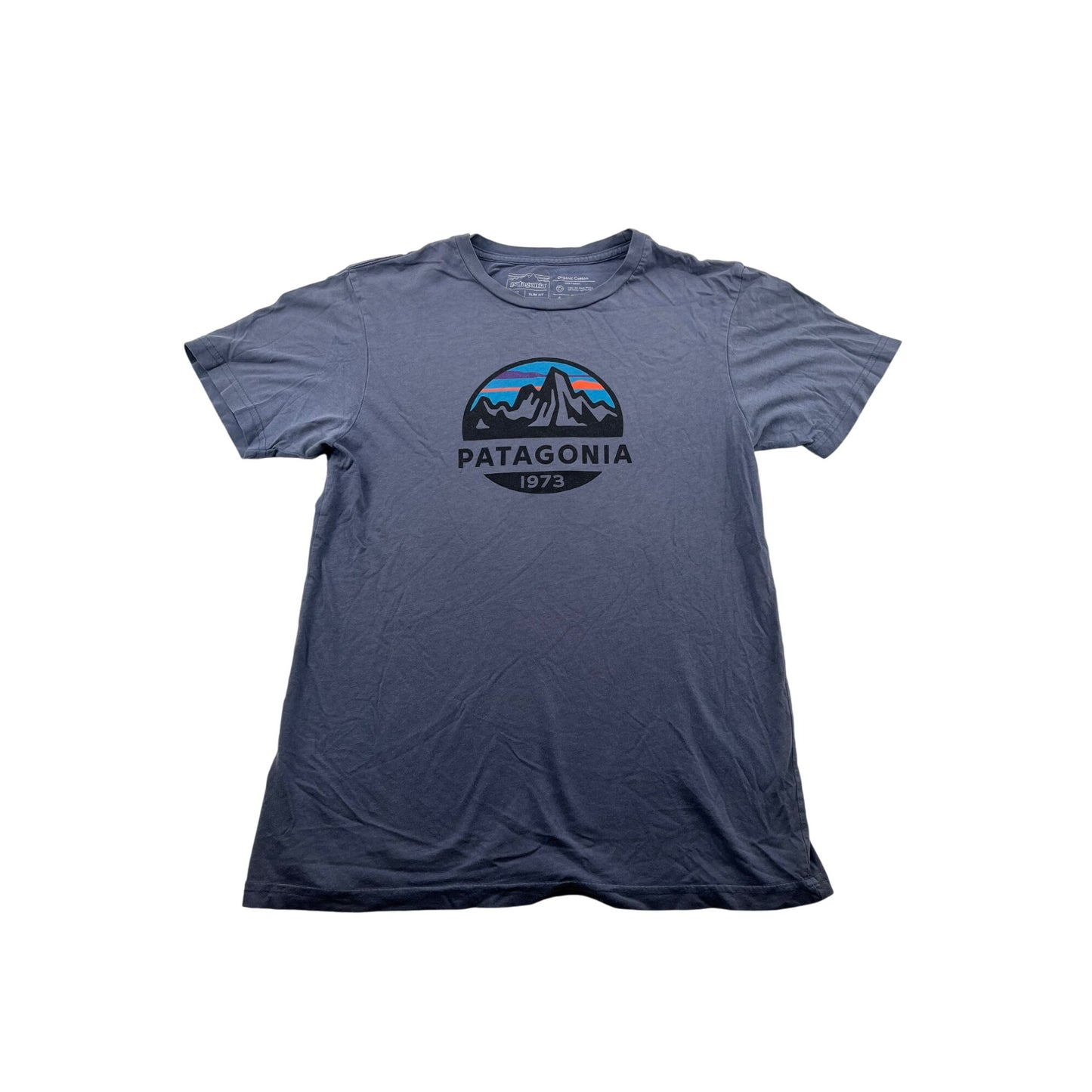 Patagonia Mens 1973 Logo T-Shirt S Slim Fit Organic Cotton Blue Tee #6222