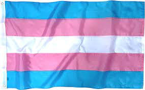 Transgender Flag #4