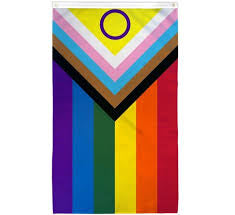 Inclusive Rainbow Flag #43