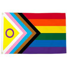 Inclusive Rainbow Flag #43