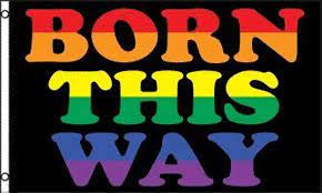 Born This Way Flag #14