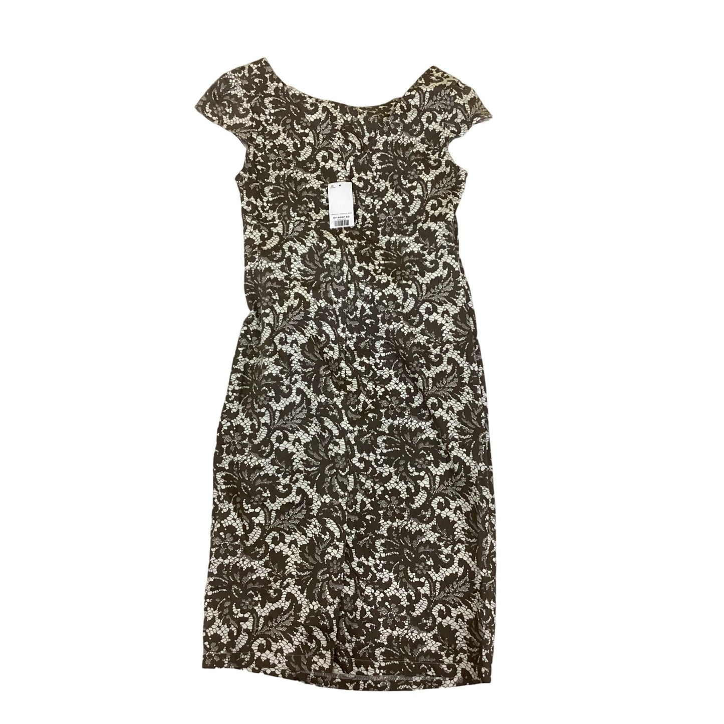 Dorothy Perkins Dress