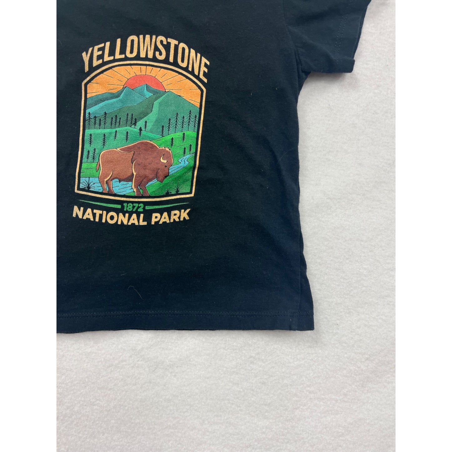 Yellowstone National Park Kids 2T Black Short Sleeve Graphic Tee #8005